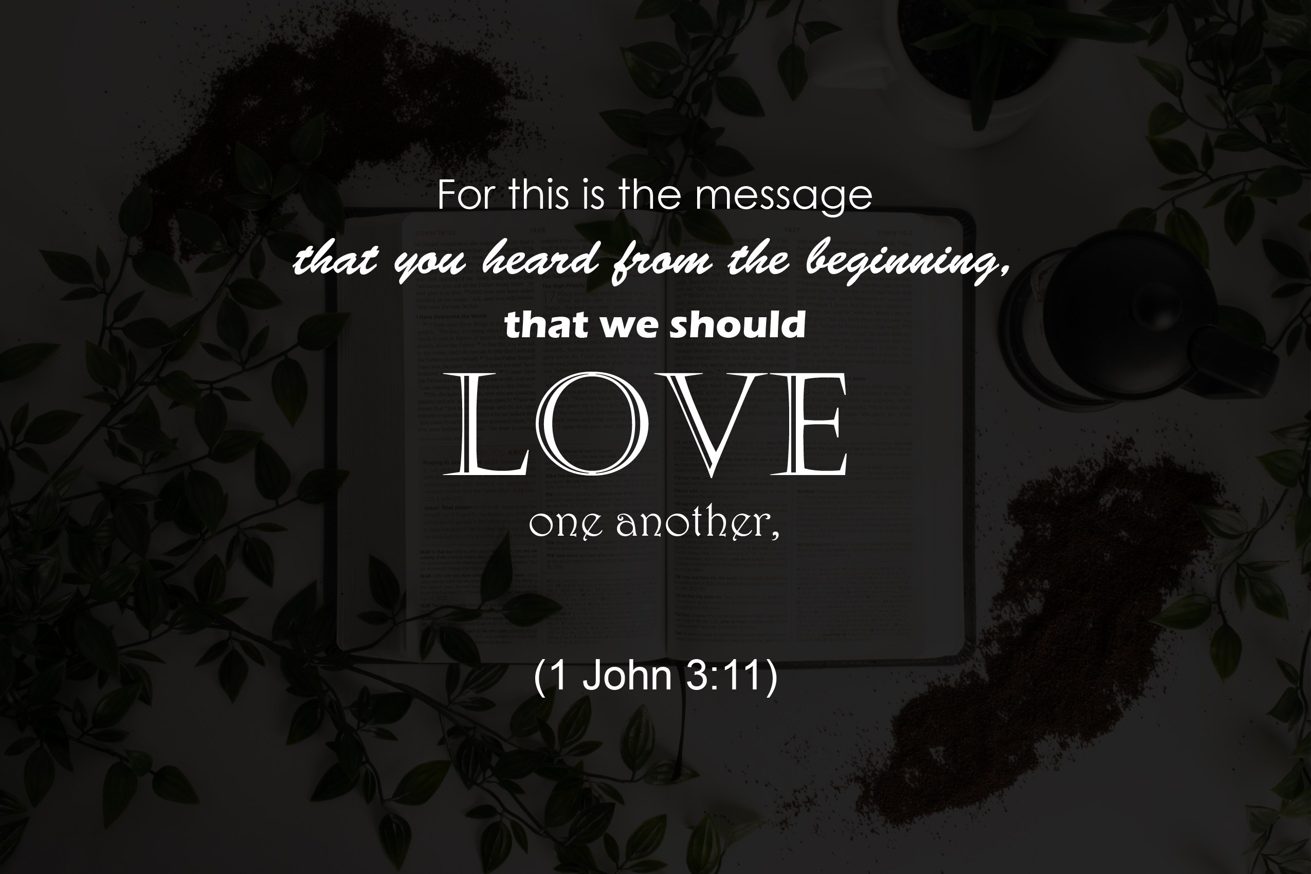 Probably nothing meaning (68) 사진